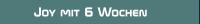 Joy mit 6 Wochen